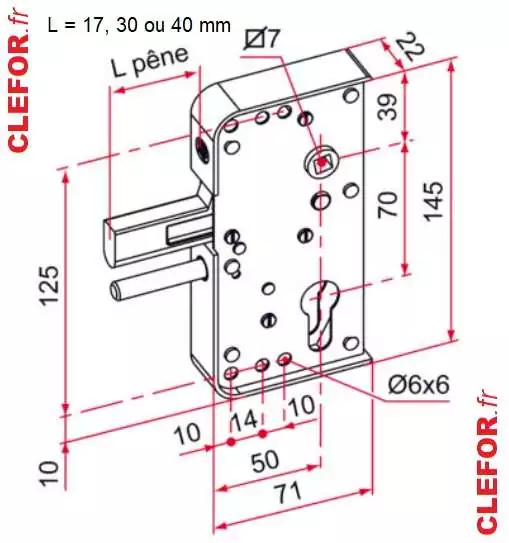 serrure de portillon de jardin tirard burgaud GA592302 a pene levant longueur 17 30 ou 40 mm clefor serrures montpellier