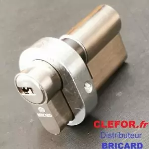 cylindre bricard avec protcteur a2p 30x40 serial 4 cles 4325820 pour serrure bricard 8151 a2p