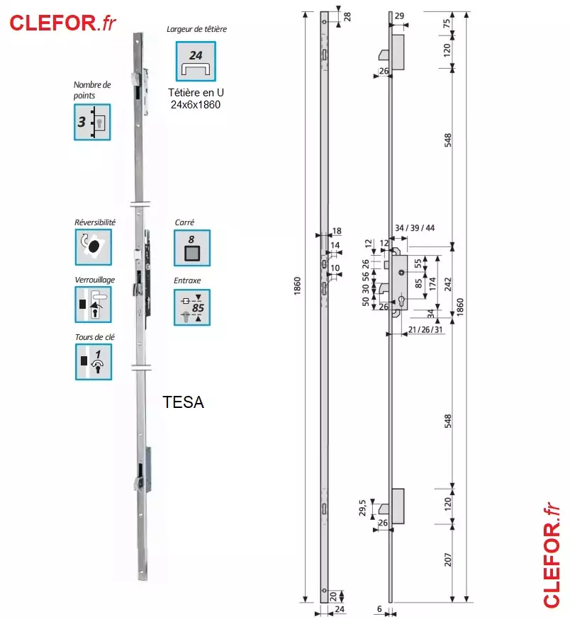 SERRURE TESA 3 PENES BASCULANT TETIERE FILANTE EN U DE LARGEUR 24x6x1860 axe 21 4230L25NM axe 26 4230L65NM axe 31 4230L35NM